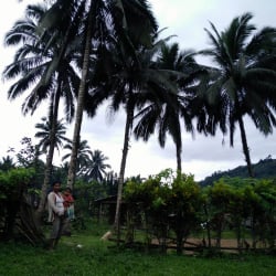 Serving through Medicine in Asia (02160-010)